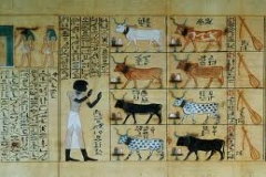 Особенности древнеегипетской письменности